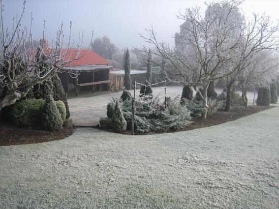 Vineyard Cottage Bnb Gumeracha Εξωτερικό φωτογραφία