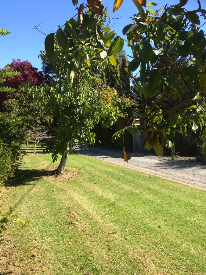 Vineyard Cottage Bnb Gumeracha Εξωτερικό φωτογραφία
